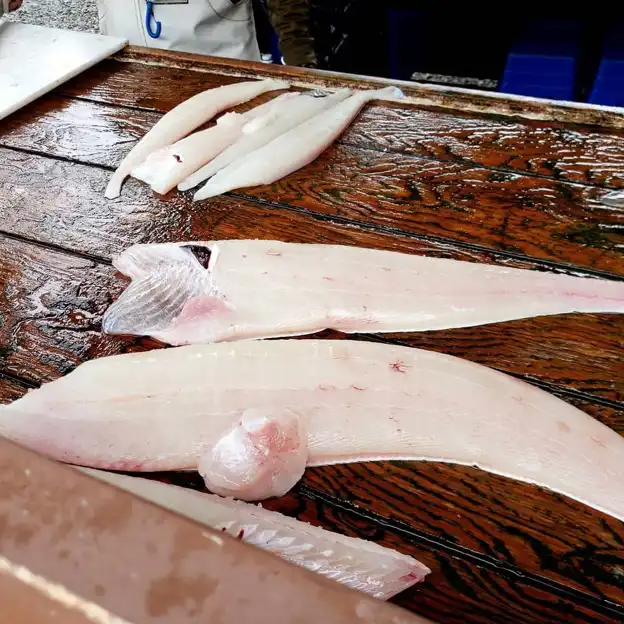 Wild Caught Alaskan Halibut