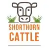 Shorthorn Cattle